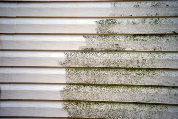 Best Brick Veneer Siding  in Powell, OH