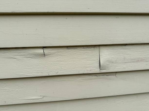 Best Custom Trim and Detailing for Siding  in Powell, OH
